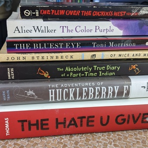 Team Page: Outsiders (#bannedbooks)